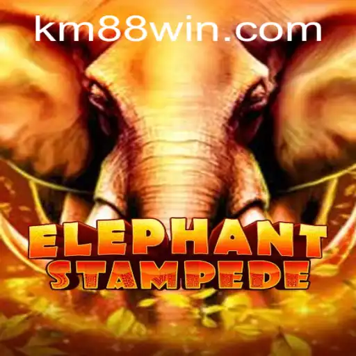 Discover the Thrill of ElephantStampede: A Deep Dive into Game Mechanics and Current Innovations